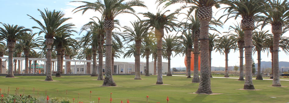 Balloon Park header shot1