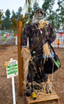 Ameri-CAN Soldier. Created by Second Harvest Food Bank of Orange County. Sponsored by Seeds of Change.