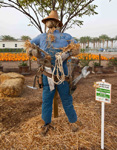 The Man in the Park. Created by Burton Construction.