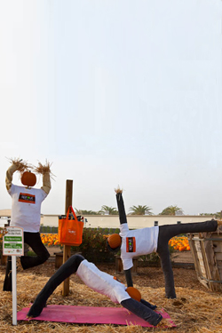 The Sprout Crows. Created by Sprout Healthy Vending.
