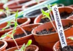 ChildrensGardening