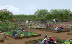 Community Garden: Adjacent to the existing Farm + Food Lab, the new Community Garden will feature 99 plots, including six ADA-compliant plots.