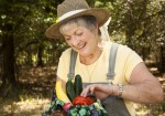 GardeningBasicsForAdults GardeningBasicsForAdults