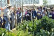 Gardening workshop