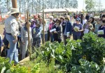 Gardening workshop Gardening workshop