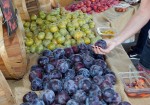 FarmersMarket02 FarmersMarket02