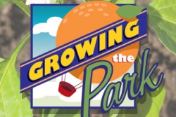 Weekend Sports Fun Slated for Saturday, July 11, at the Orange County Great Park