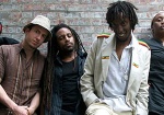 Easy Star All-Stars