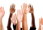 Ambassador Volunteer Program