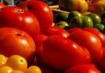 Orange County Food Bank Receives 100 Tons of Food