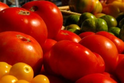 Orange County Food Bank Receives 100 Tons of Food