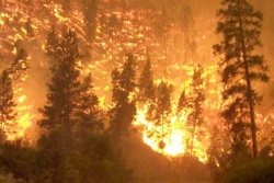 21st Century Megafires in Southern California: Adapting to Fires in Paradise