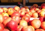 Great Park Farmers Market to Feature Holiday Produce For Your Thanksgiving Feast