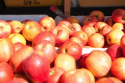 Great Park Farmers Market to Feature Holiday Produce For Your Thanksgiving Feast