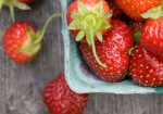 Great Park Farm Produces First Harvest