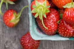 Great Park Farm Produces First Harvest