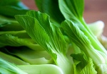 Great Park Farmers Market Introduces Asian Produce