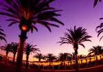 City of Irvine’s 40th Anniversary Photo Contest—Submit Your Great Park Photos