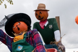 Help Scare Away Hunger by Building a Scarecrow in the Park