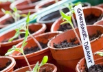 From The Edible Landscape to Gifts from the Garden