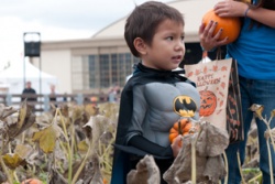 Come Trick or Treat at the Great Park This Saturday