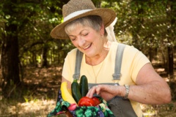 Learn the Basics of Fresh Food Gardening