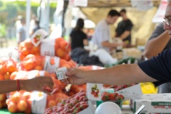 Nearly 100,000 Visit Great Park Farmers Market