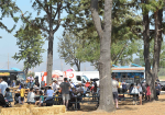 GREAT PARK TO CREATE WELLNESS GALLERY AT FARMERS MARKET