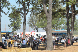 GREAT PARK TO CREATE WELLNESS GALLERY AT FARMERS MARKET