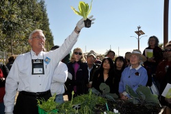 Spring Garden Workshops